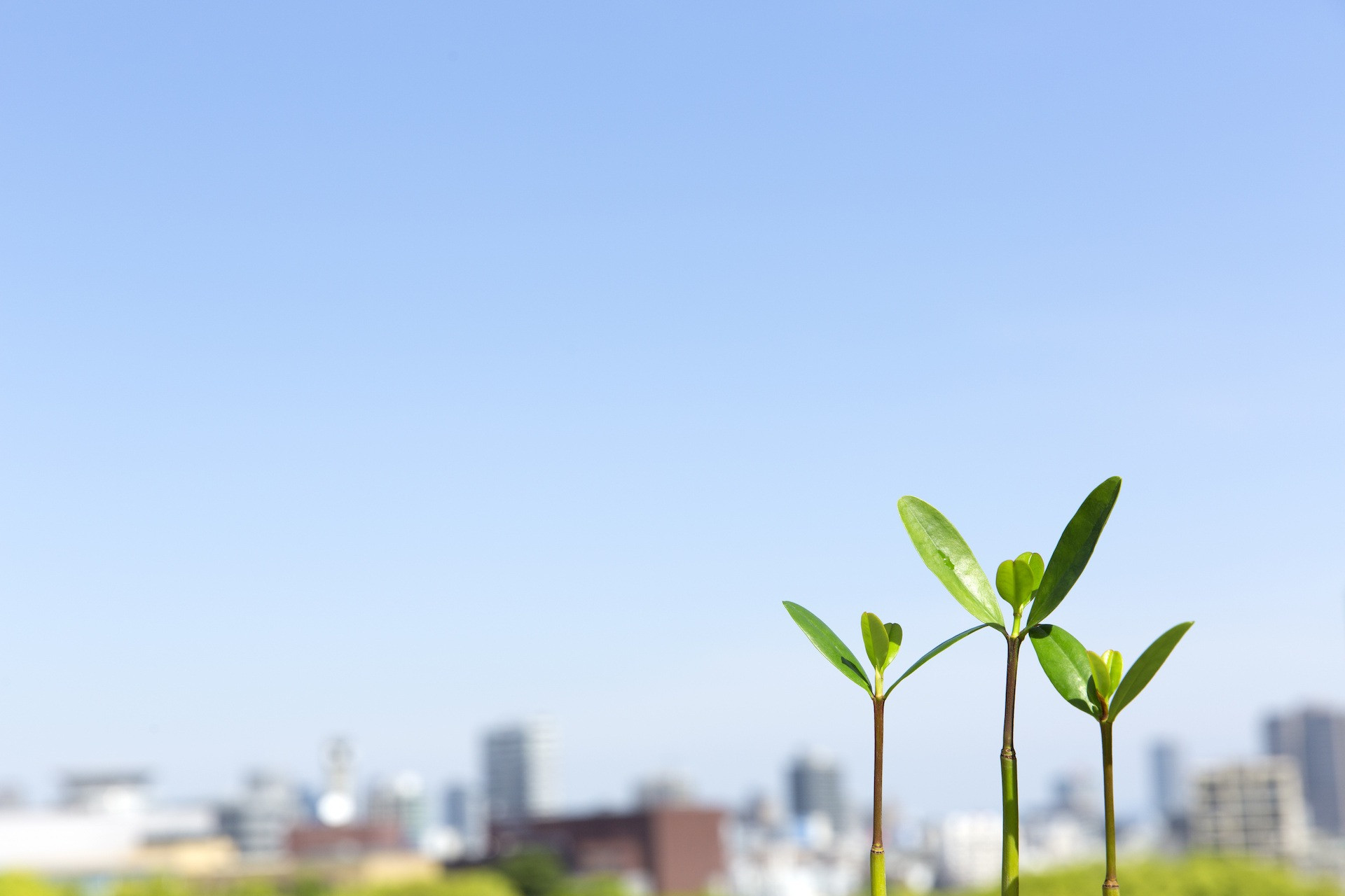 株式会社フォウテック(営業所)